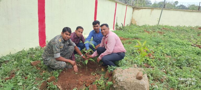 चैनपुर प्रखंड में विश्व पर्यावरण दिवस पर विशेष कार्यक्रम, वन संरक्षण पर जोर और प्लास्टिक मुक्ति का संकल्प