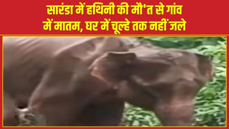 सारंडा में हथिनी की मौ’त से गांव में मातम, घर में चूल्हे तक नहीं जले