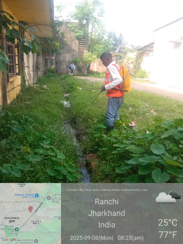 मच्छरों पर कसा शिकंजा, निगम ने जारी किया टोल फ्री नंबर, आप भी कर सकते हैं शिकायत