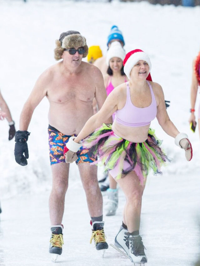 टोरंटो में पोलर बीयर स्केट इवेंट